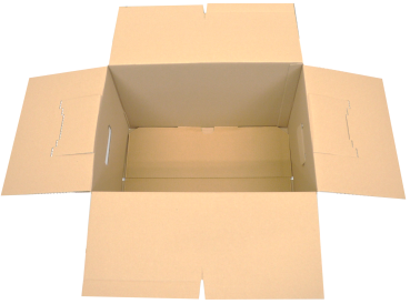Umzugskarton "DIY"